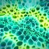 Microbioma